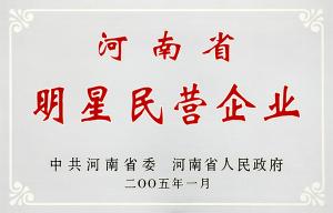 明星民营企业